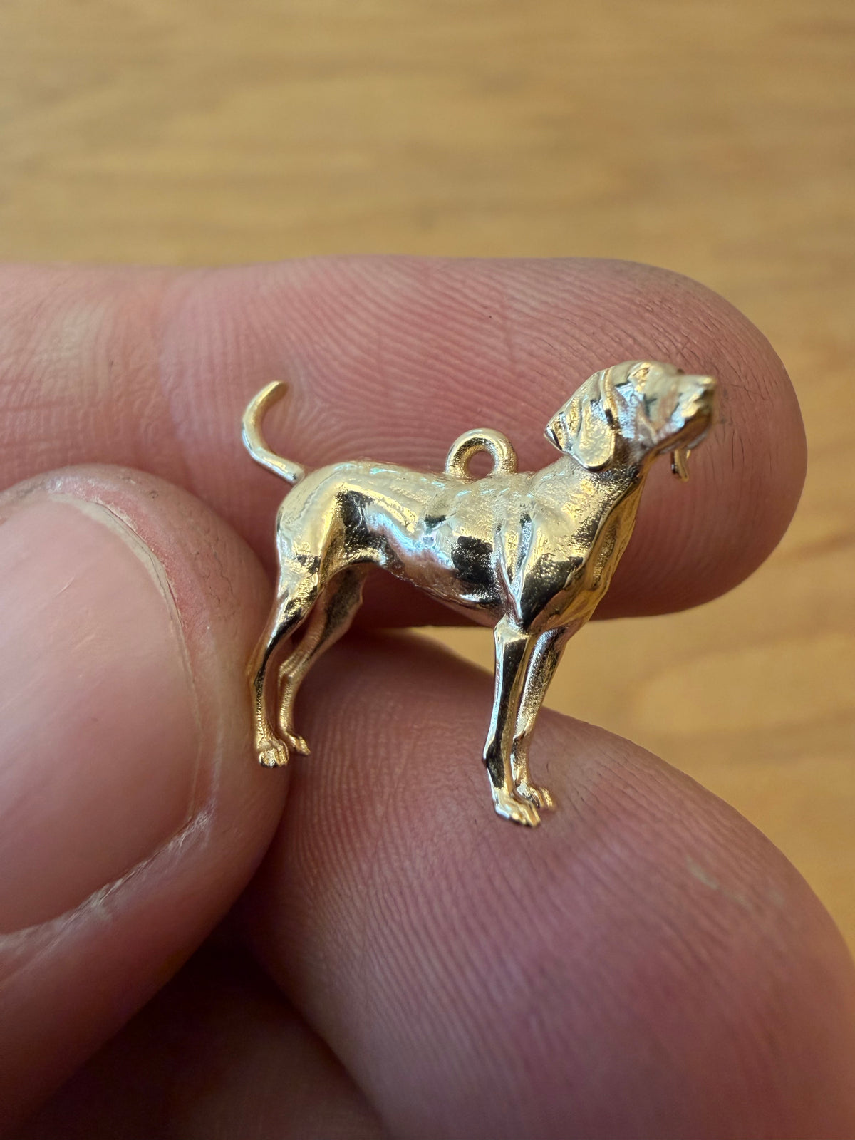Your Pet Necklace Charm